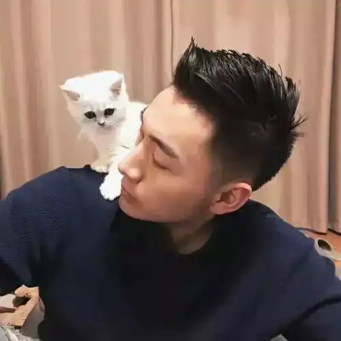 夏天该理个什么发型,才不会被姑娘diss