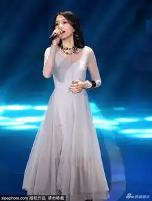 组图张韶涵穿银灰透视纱裙献唱仙气飘飘