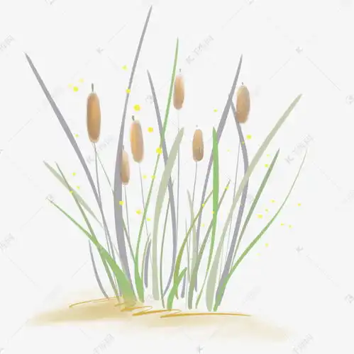 古风淡彩芦苇荡素材图片免费下载千库网