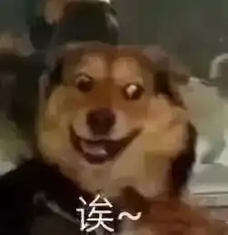 假如你旁边有人在打架...哈哈哈哈哈笑到隔壁公鸡和我比赛打鸣