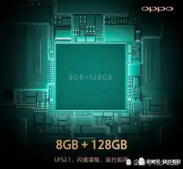 上王者的正确姿势oppor17pro王者定制版