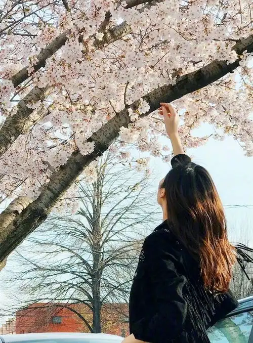 抱花少女刘诗诗的赏花照,学好