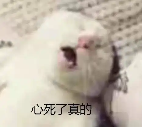 买了相机却懒得看说明书快看看省时省力的快速入门指南吧