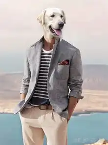 男生夏天的衣服如何搭配,关键还看干净两个字