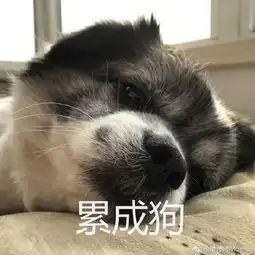 小丑竟是我自己,沙雕文案