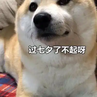 七夕是什么我是单身狗我骄傲了吗