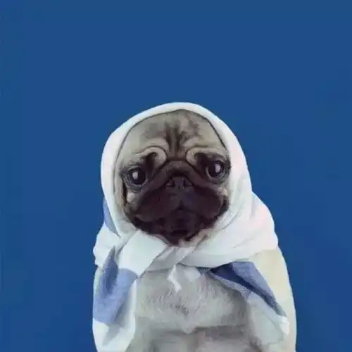 你是电,是光,是我的小太阳