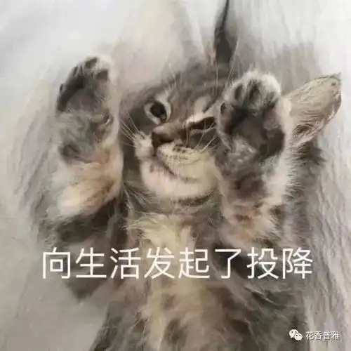 无标题