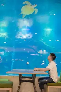 北纬18度的温暖与阳光,蓝天与大海,与你不见不散