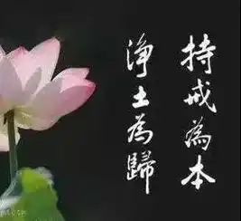 一个看因果的好方法学佛长沙的空间学佛网个人空间