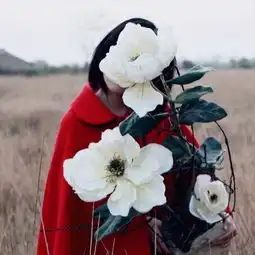 大牌私房摄影师,少女和花比颜值谁会赢