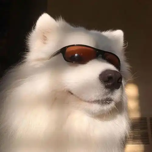 奇奇怪怪有趣头像