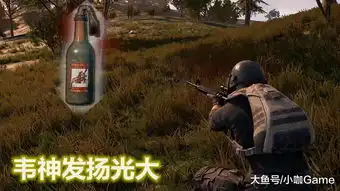 绝地求生pgc半决赛最受欢迎枪械mini霸榜,m416后还有一件装备