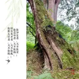 真正的修行是在生活和家庭中作者语山师姐