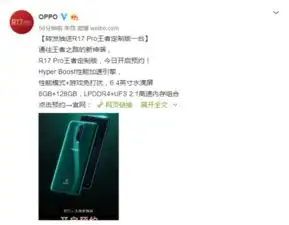 游戏利器r17pro王者定制版开启预约