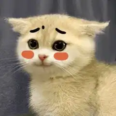 超萌小奶奶奶猫表情包,撒娇必备