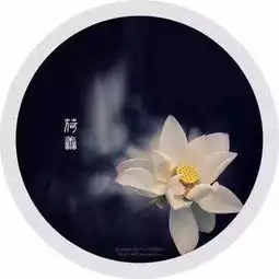 岁月老了,人心淡了