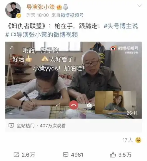 枪在手,跟鹅走大妈大爷们主演的这部乡村特工片火了