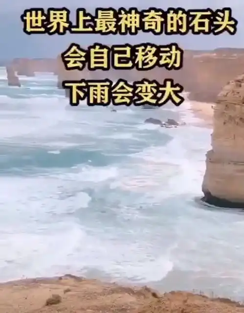 奇闻奇闻异录奇闻趣事奇闻异事