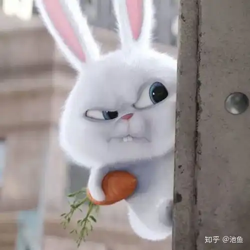有爱宠大机密里面兔老大好看的头像吗