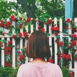 千万不要和有思想的女生谈恋爱