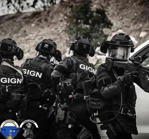 不以物喜全球军警实战造型录,从武器装备到军服你最钟爱哪一支说说你的心里话