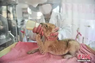 无标题