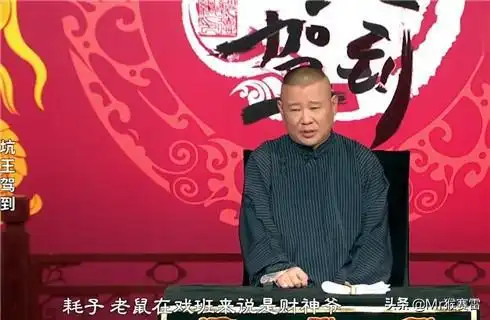 郭德纲为何禁止德云社养猫看似奇葩的规定,其实里面大有学问岳云鹏老鼠网易订阅