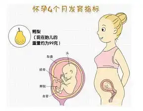 怀孕四个月应避免搬重物怀孕四个月有胎动吗