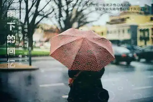 雨下的回忆