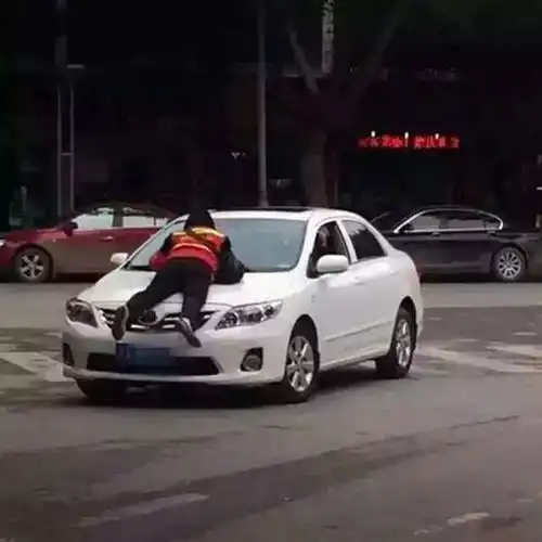 原来是自己人