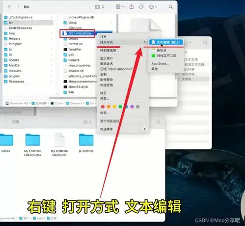 clion2024formacc和c的跨平台解代码编辑器