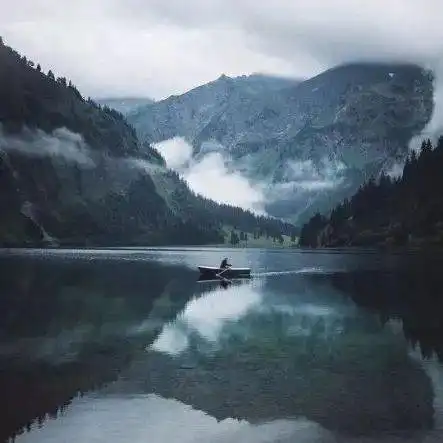 象牙塔,进与出