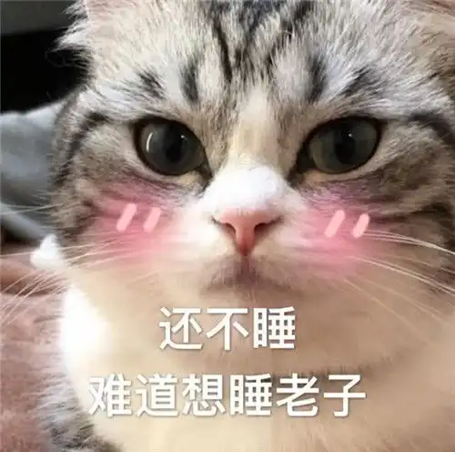 小奶猫你有你的520,我有我的502,不是很甜,但是很黏