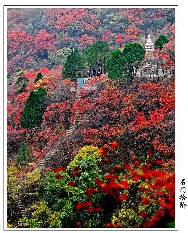 微信头像有多重要自从换了它,就再也没人找过我