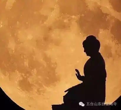 老人学佛有没有用晚年犯错如何弥补