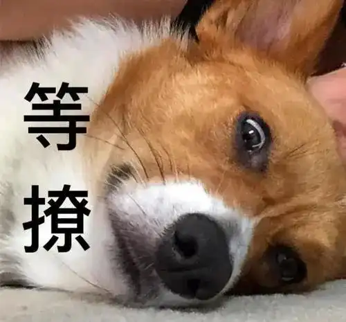 这个部位千万别抠......谁抠谁知道