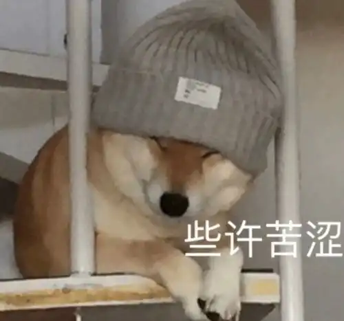 有哪些可以发动态的沙雕文案