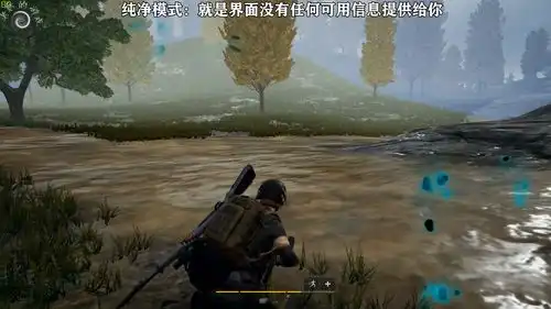 绝地求生假如绝地求生有纯净模式,你和你的队友还回来吗