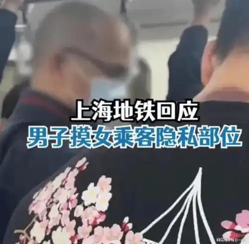 上海地铁男子摸女子隐私部位,网友直呼丢了上海人的脸