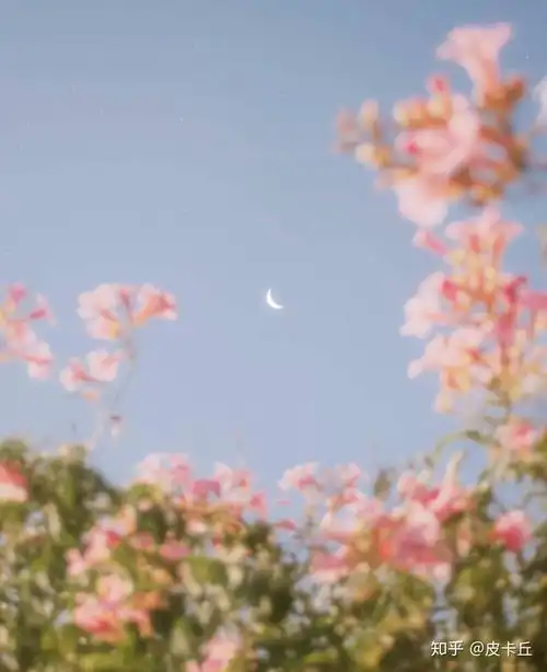 一大波美美的壁纸来临即可以当壁纸也可以当背景图