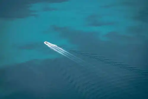 一行禅师我们必须照顾好自己的身体,好让我们有一个愉快的家可以回归