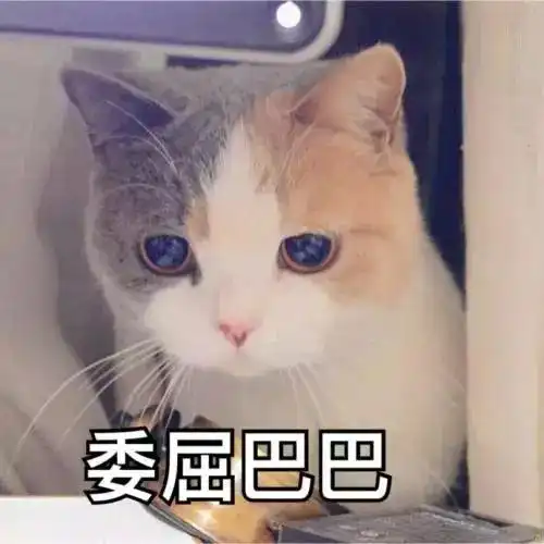 一切都是套路女子车站被告知列车停运,多花了6000元也回不了家