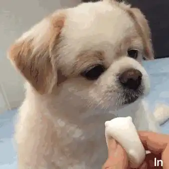 全新好价airpods2