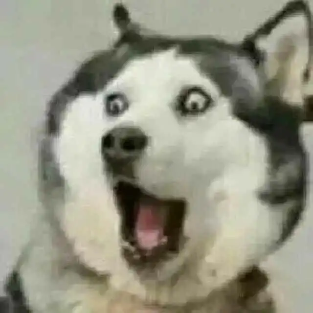 有哪些沙雕情头可以下分享一下
