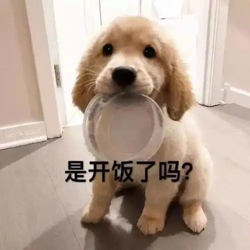 精选段子一百块钱不是给你的,是为了引起你的注意
