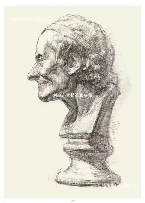 中国美术学院专业基础教学部教师刘晓东素描石膏头像挂图