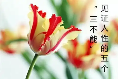 新时代,心健康,阅读和分享山湖纪人之心灵早餐