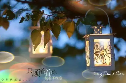天蝎座表面高冷内心似火的家伙
