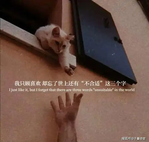 这一次你真的失去我了
